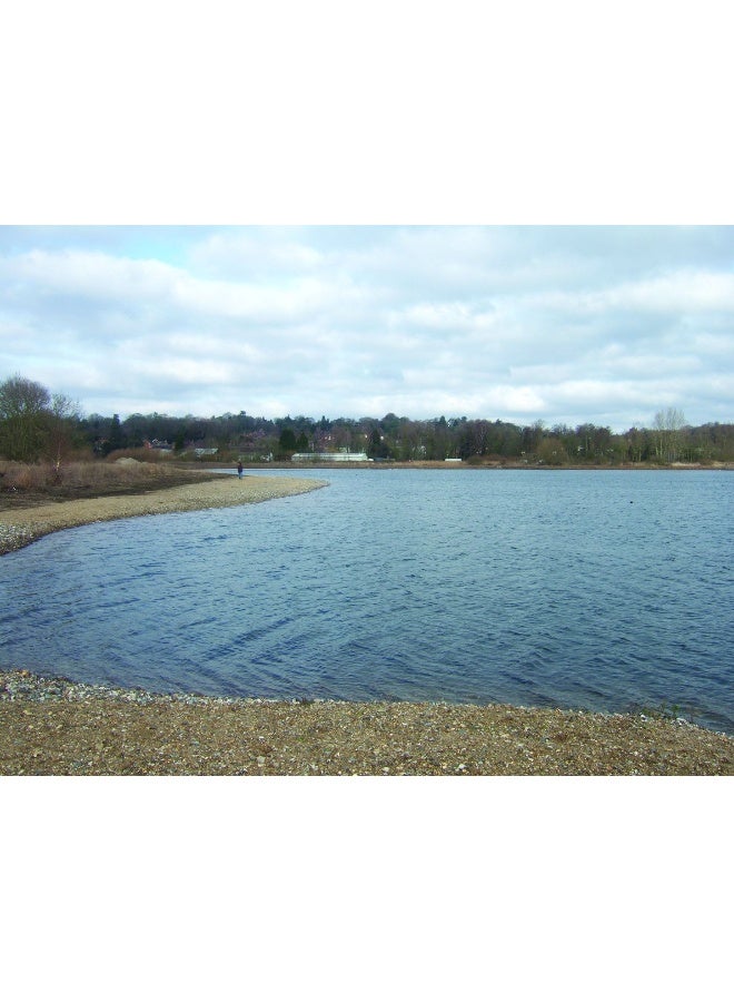A Boot Up the Norfolk Broads - Image 4