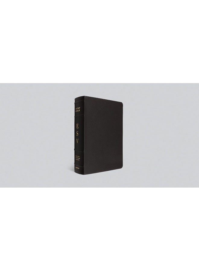 Crossway ESV Study Bible (Buffalo Leather, Deep Brown)  - Image 5
