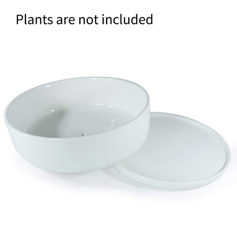 SQOWL 8 inch White Round Ceramic Succulent Planter Pot Modern Flower Cactus herb Big Planter with Removable Saucer Indoor or Outdoor - Image 2
