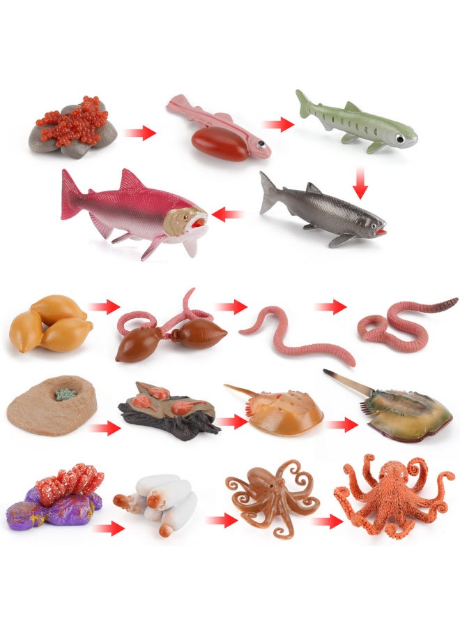 Generic - Simulation Animal Model Chicken Duck Goose Butterfly Turtle Frog Growth Cycle Montessori Teaching Aids Hand-made Ornaments-Color:PL127-2494 Python Cycle Suit 149g - Image 1