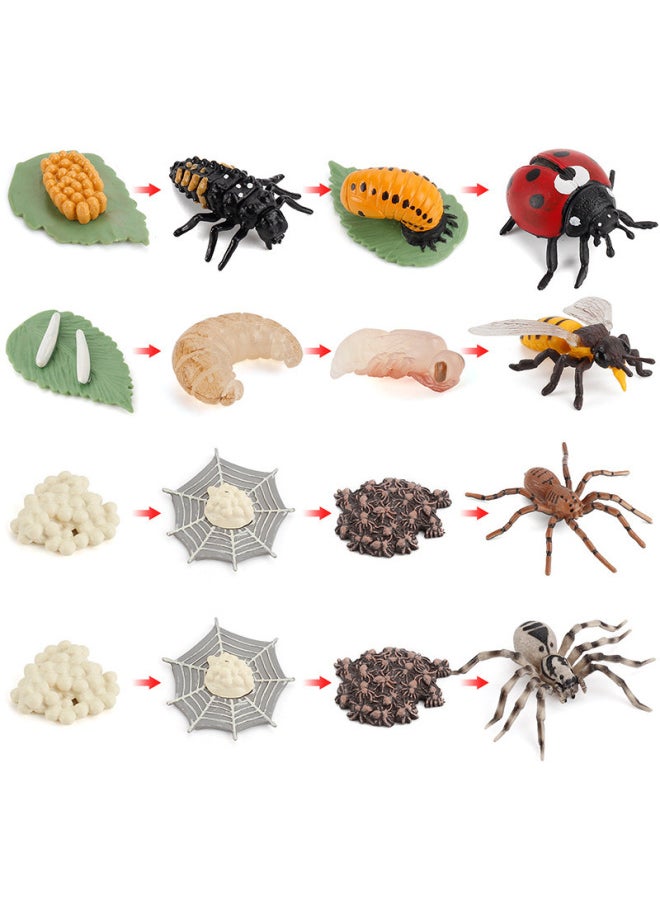 Generic - Simulation Animal Model Chicken Duck Goose Butterfly Turtle Frog Growth Cycle Montessori Teaching Aids Hand-made Ornaments-Color:PL127-2494 Python Cycle Suit 149g - Image 1