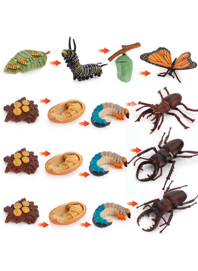 Generic - Simulation Animal Model Chicken Duck Goose Butterfly Turtle Frog Growth Cycle Montessori Teaching Aids Hand-made Ornaments-Color:PL127-2494 Python Cycle Suit 149g - Image 1