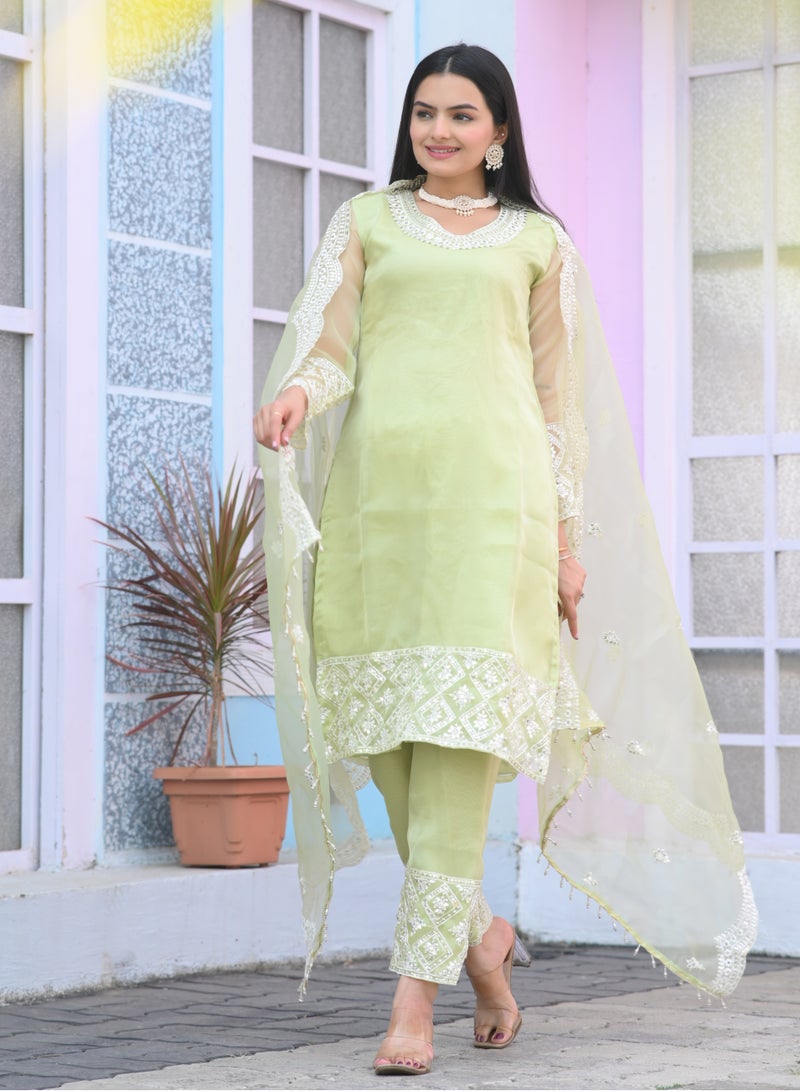 Designer embroidered organza suit with sequence embroidered work - Image 1