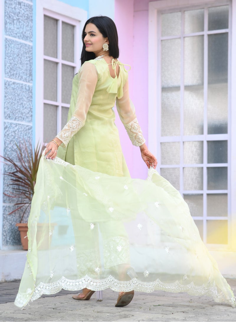 Designer embroidered organza suit with sequence embroidered work - Image 2
