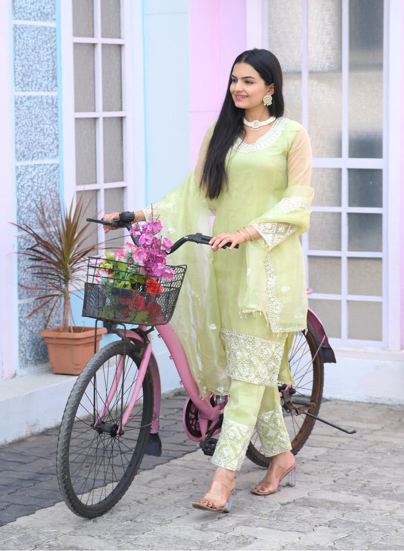 Designer embroidered organza suit with sequence embroidered work - Image 3