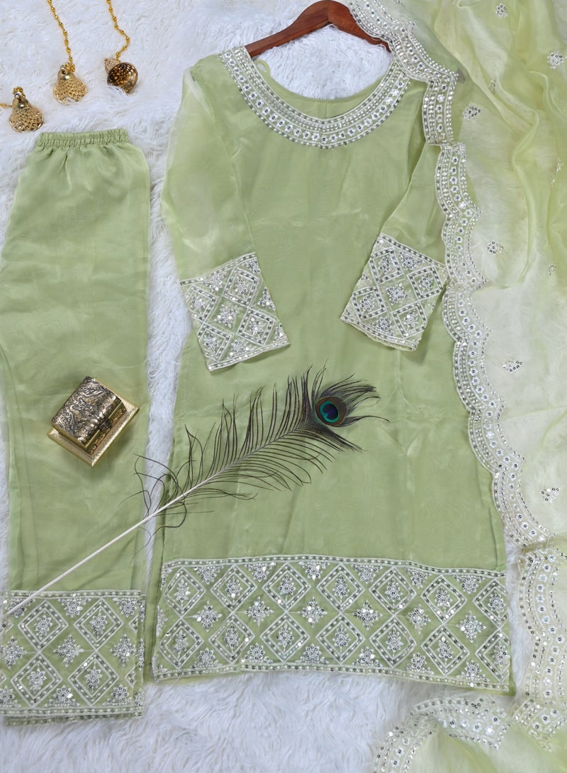 Designer embroidered organza suit with sequence embroidered work - Image 5
