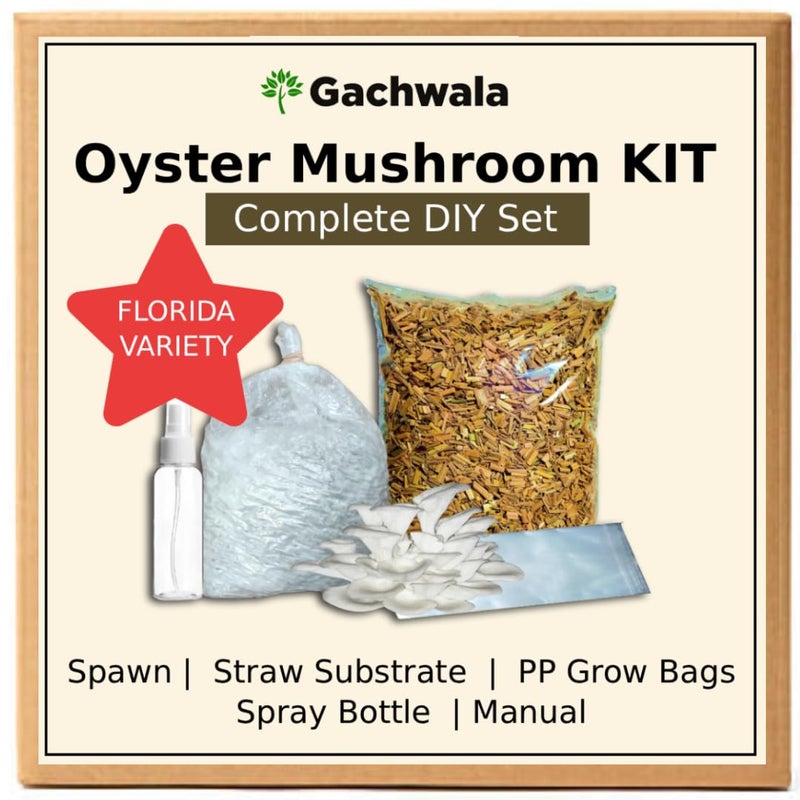 Gachwala Oyster Mushroom Growing Kit for Home | Complete Mushroom Growing Kit with Spawn, Straw Substrate, PP Grow Bags, Spray Bottle & Manual | Easy Indoor Mushroom Kit for Beginners - Image 5