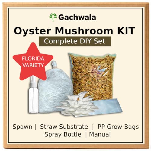 Gachwala Oyster Mushroom Growing Kit for Home | Complete Mushroom Growing Kit with Spawn, Straw Substrate, PP Grow Bags, Spray Bottle & Manual | Easy Indoor Mushroom Kit for Beginners - Image 1