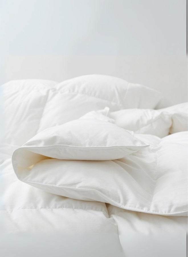 Pearl Coast لحاف فاخر من ريش الإوز – 260x210 سم – 90/10 حشوة ريش – 190 غم/م² – غلاف قطن 233 خيط – راحة على مدار السنة - Image 4