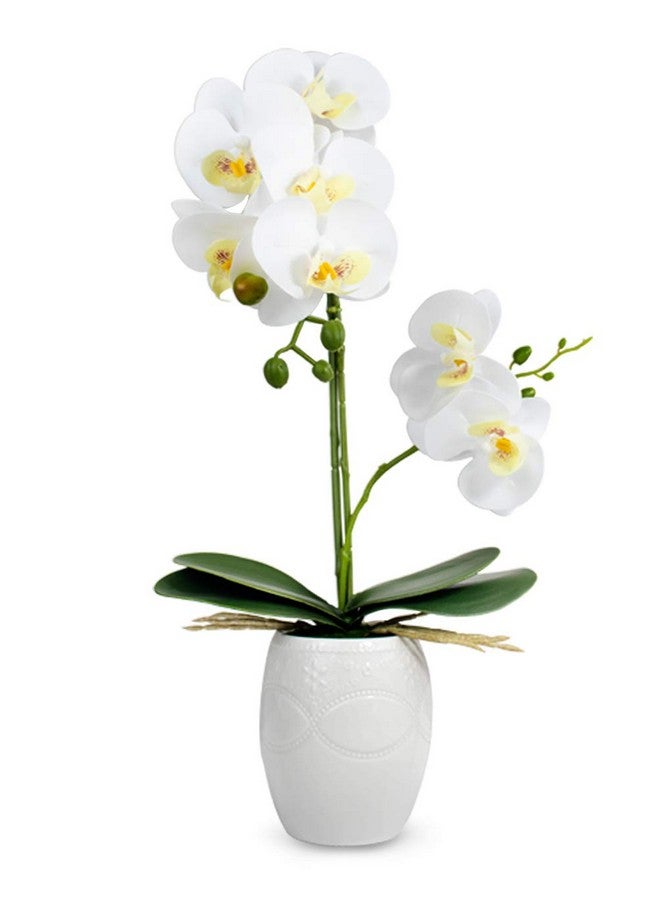 Dahlia Realistic Orchid Artificial Flower Arrangement with Etched White Ceramic Pot, White - Image 1