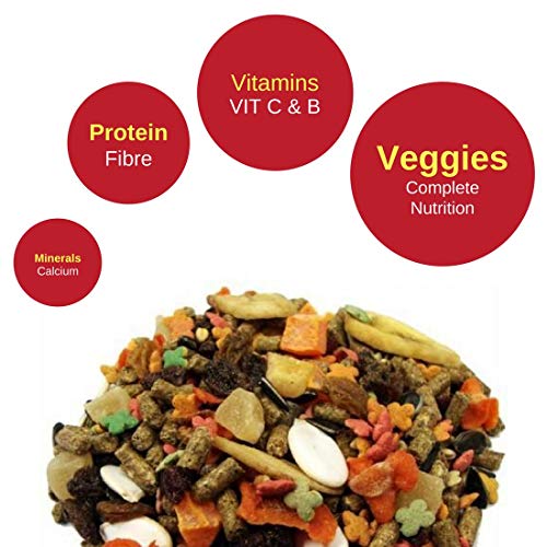 Vitapol Economic Small Animal Food for Guinea Pig 1.2-kg - Image 2