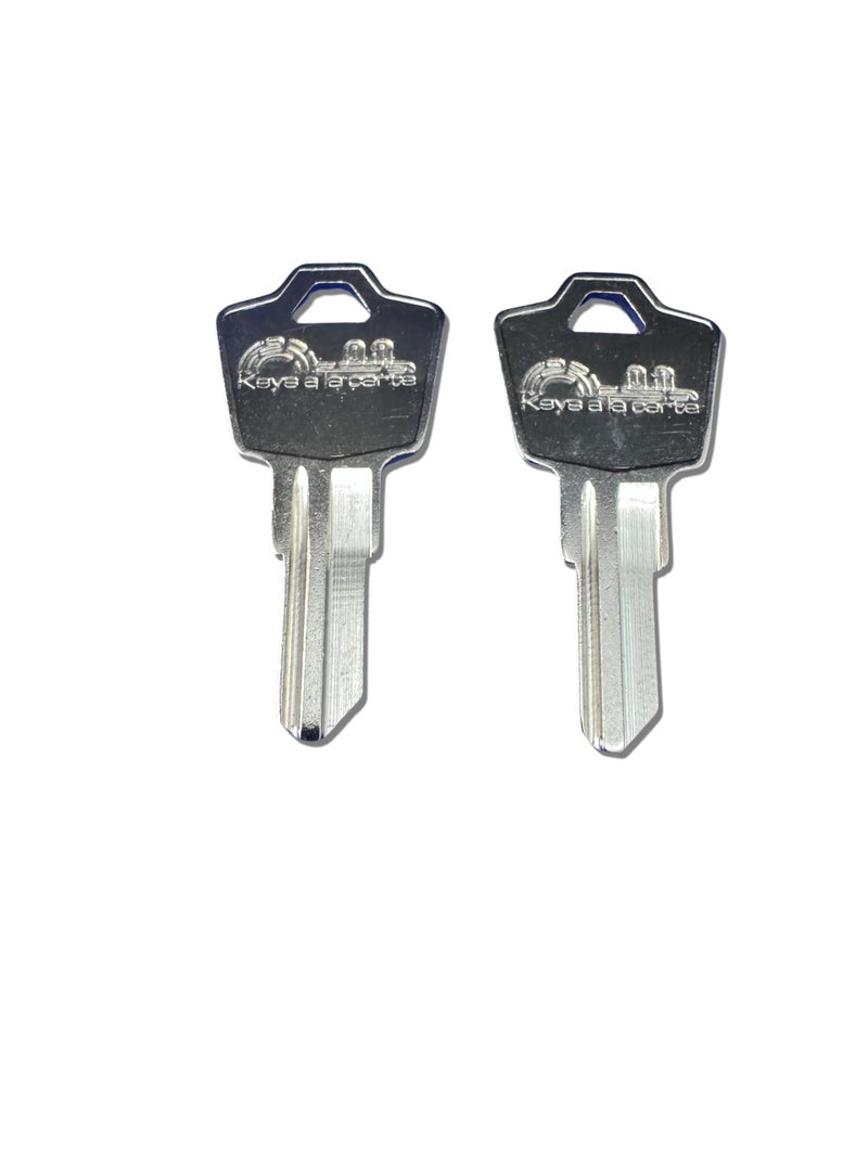 KEYSALACARTE SentrySafe Replacement Key M Code | Compatible with Sentry Fireproof Boxes & Chests | KEYSALACARTE Brand | Cut on 1531 Key Blank - Image 2
