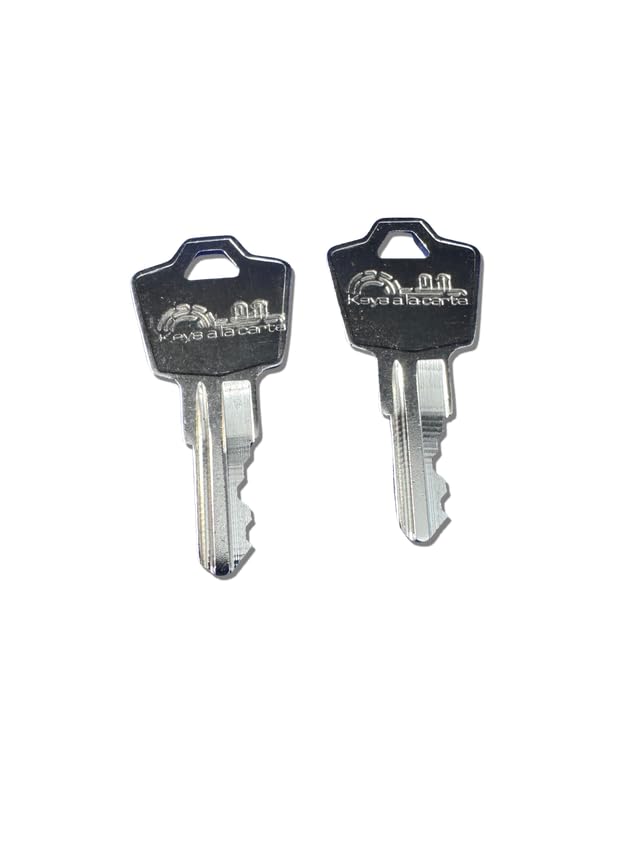 KEYSALACARTE SentrySafe Replacement Key M Code | Compatible with Sentry Fireproof Boxes & Chests | KEYSALACARTE Brand | Cut on 1531 Key Blank - Image 3