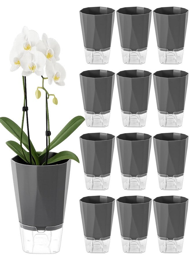 Planterhoma عبوة من 12 أصيصًا للنباتات ذاتية الري، مقاس 6 بوصات، مناسبة للنباتات الداخلية والخارجية، أصيص شفاف لنباتات البنفسج الأفريقي العصارية، أصيص شفاف لنباتات الأعشاب الكبيرة، زهرة الأوركيد، نبات منزلي، رمادي داكن - Image 1