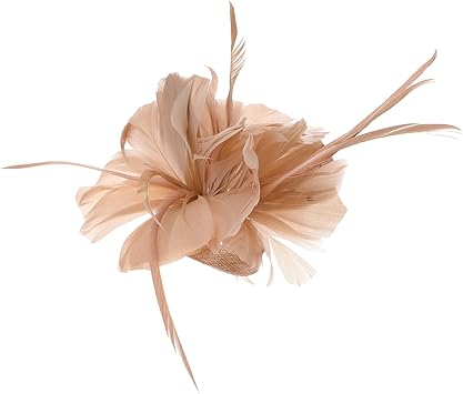 Lurrose Women Fascinator Pink Fascinator Side Hair Clip Flower Hair Pins Vintage Tea Party Headband Wedding Accessories for Girls Ladies - Image 1