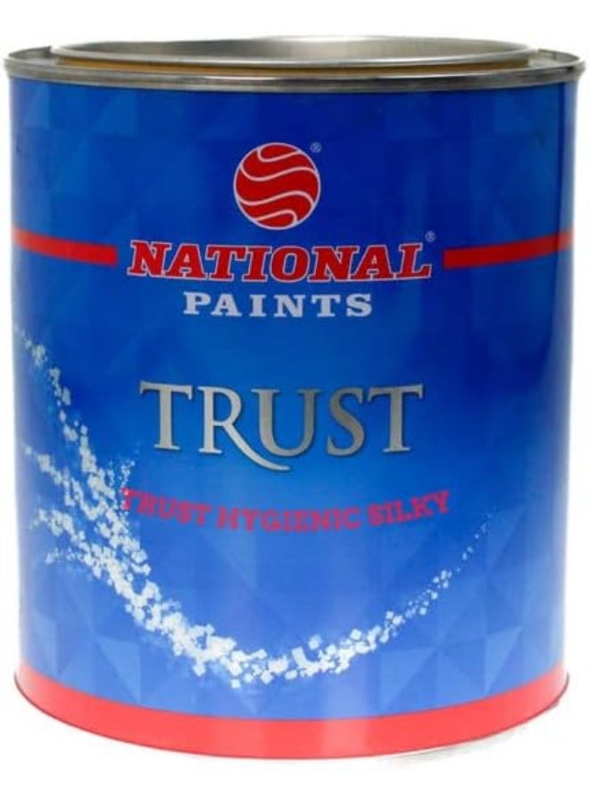 NATIONAL PAINTS Trust Hygienic Silky 1 Liter Dyro Grey 200