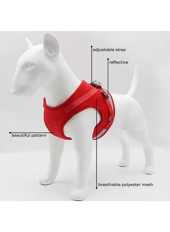 هومستيك حزام عاكس للكلاب مع مقود قابل للتعديل | نسيج شبكي من البوليستر قابل للتنفس | مقاس كبير جدًا | Ht-844 | قبضة مريحة لا تسحب | أبازيم سريعة الفك | حزام سهل الارتداء والخلع | أحمر - Image 3