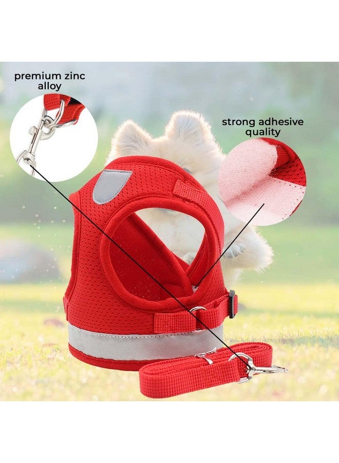 هومستيك حزام عاكس للكلاب مع مقود قابل للتعديل | نسيج شبكي من البوليستر قابل للتنفس | مقاس كبير جدًا | Ht-844 | قبضة مريحة لا تسحب | أبازيم سريعة الفك | حزام سهل الارتداء والخلع | أحمر - Image 4