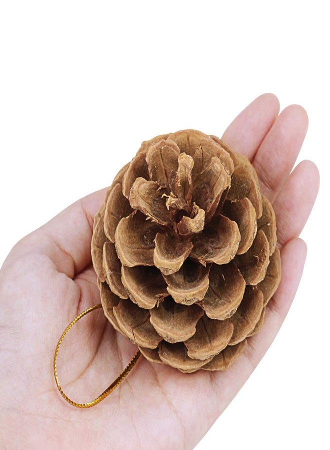 Supla 30 Pcs Christmas Hanging Real Preserved Pine Cones Ornaments 2"-3" Tall Christmas Tree Hanging Pinecone Ornaments - Image 2