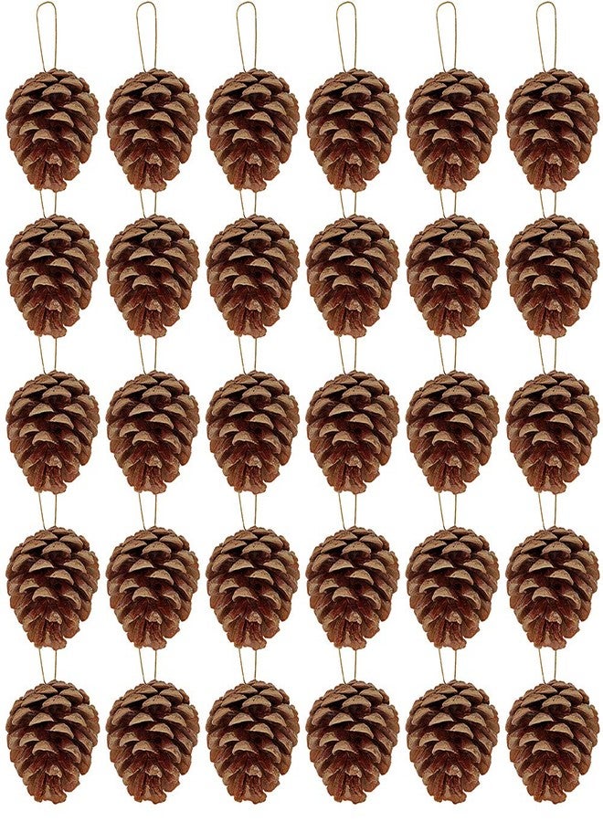 Supla 30 Pcs Christmas Hanging Real Preserved Pine Cones Ornaments 2"-3" Tall Christmas Tree Hanging Pinecone Ornaments - Image 1