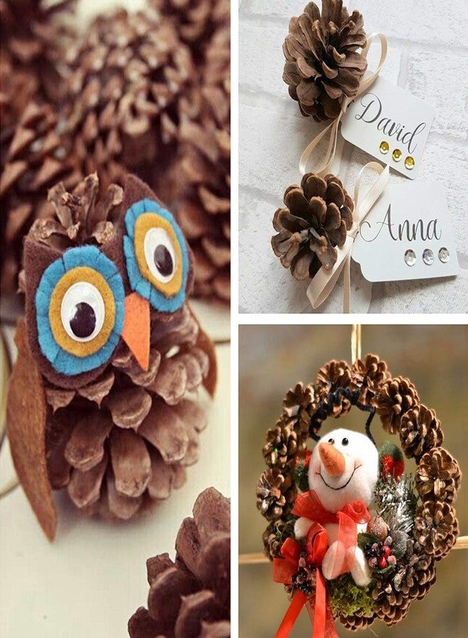 Supla 30 Pcs Christmas Hanging Real Preserved Pine Cones Ornaments 2"-3" Tall Christmas Tree Hanging Pinecone Ornaments - Image 4