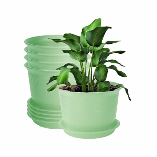 INKULTURE Plastic Round Flower Pots with Tray for Home Planters, Terrace, Garden Etc | Pack of 05 | Green | Size 8 Inch | for Home Indoor & Outdoor Gardening Plants - Image 1