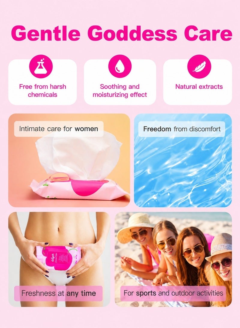 CAYCH Feminine Intimate Hygiene Wipes 16 x 12 - 192 Sheets for Women, 8 in 1 PH Balanced, Deodorizing, Moisturizing, Hypoallergenic, Flushable Biodegradable Personal Care Cleaning Wet Wipes - Image 5