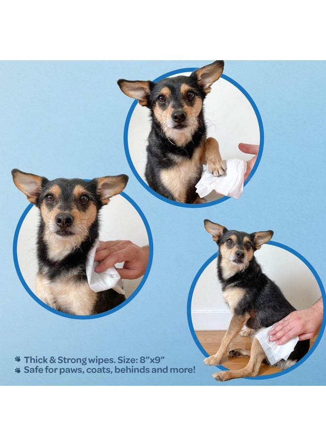 VOYAGER Best Pet Supplies CoconutScented Moisturizing Pet Wipes For Dogs & Cats  Extra Soft & Strong Grooming Wipes With Gentle PlantDerived Formula, Model Number: WwCo100 Count (Pack Of 1)  - Image 3