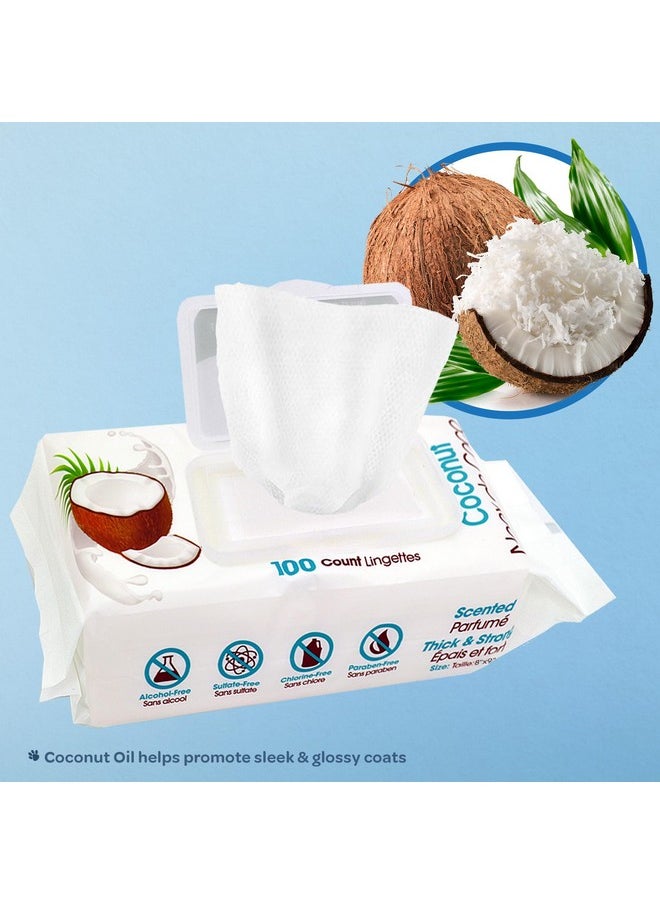 VOYAGER Best Pet Supplies CoconutScented Moisturizing Pet Wipes For Dogs & Cats  Extra Soft & Strong Grooming Wipes With Gentle PlantDerived Formula, Model Number: WwCo100 Count (Pack Of 1)  - Image 2