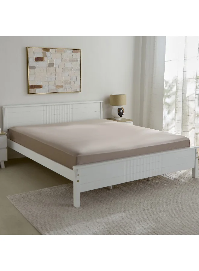 Home Box Opulent Luxe Solid Cotton Olympic Queen Fitted Sheet - 160x200+40 cm