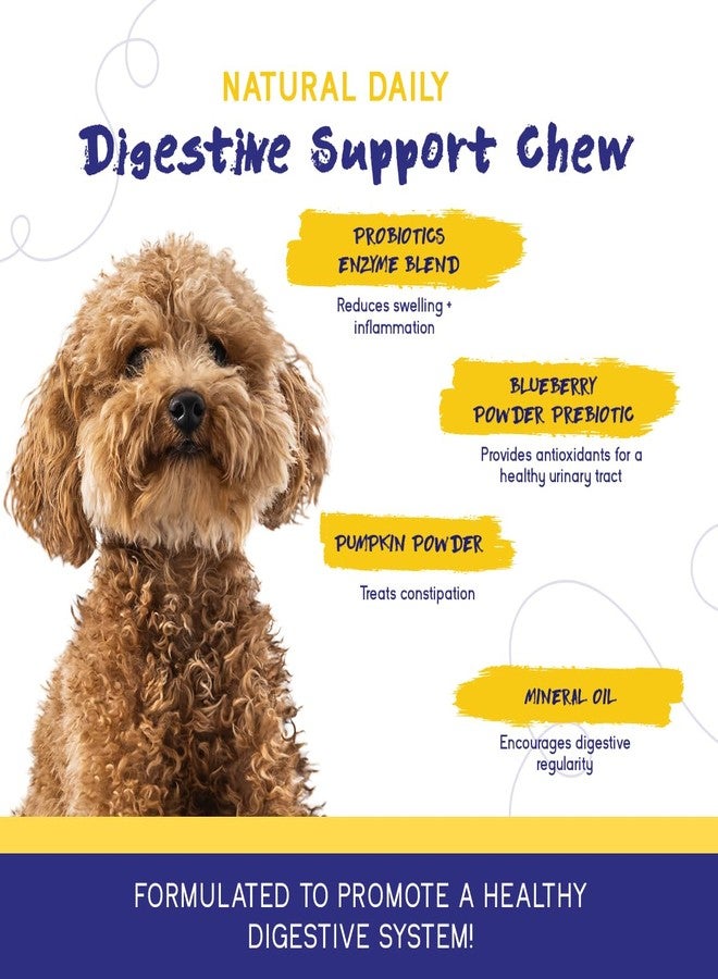 PupGrade Digestive Support Chews for Dogs - Prebiotic and Probiotic Supplement with Enzyme Blend - Upset Stomach, Diarrhea, Bowel, and Immune Support - Pumpkin, Blueberry, Mineral Oil - 180 Soft Chews - Image 4