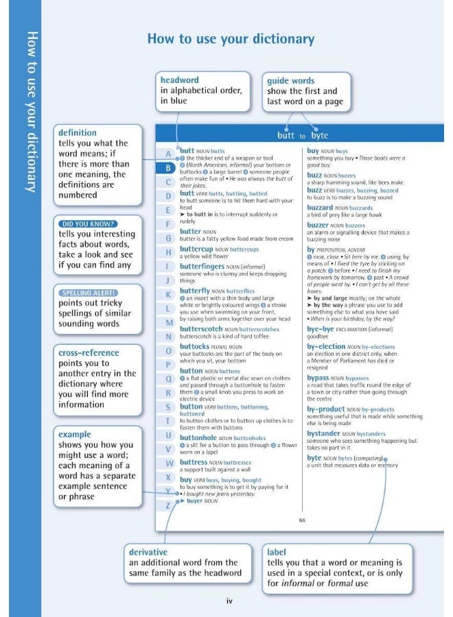 Oxford Primary Dictionary - Image 2