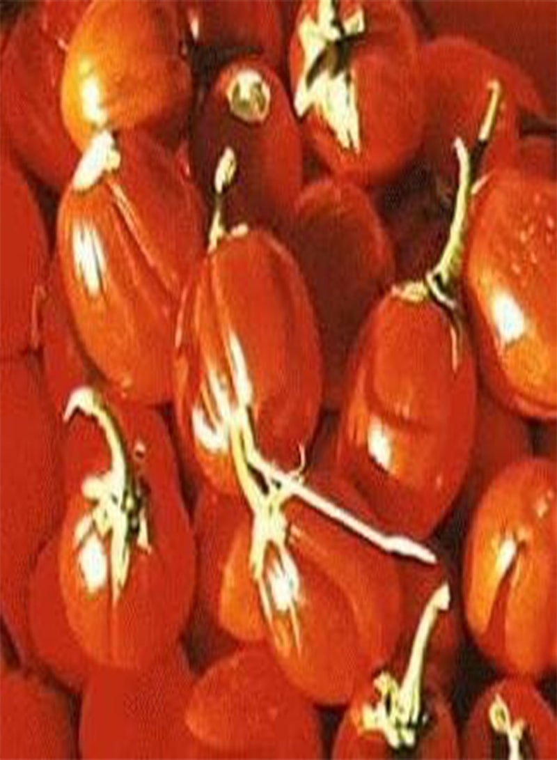 GGOOT Pumpkin On a Stick 100 Seeds