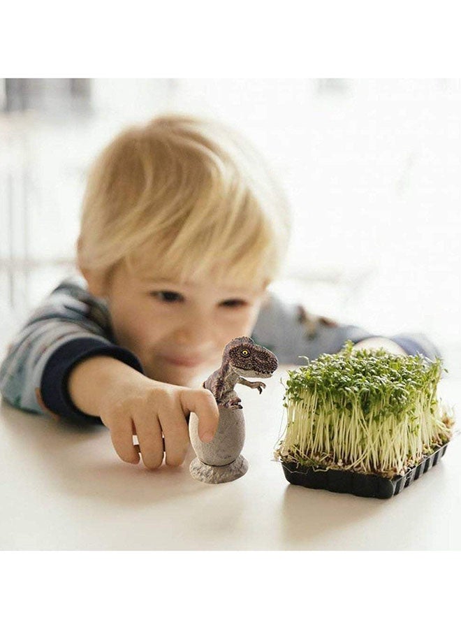 Galaxy 6 Dinosaur Crawling Out of Egg Toy Set - Educational Baby Dinosaur Egg Hatching Toys | 6pcs Dinosaur Model Figures | Realistic Dinosaur World Playset for Kids - Image 5