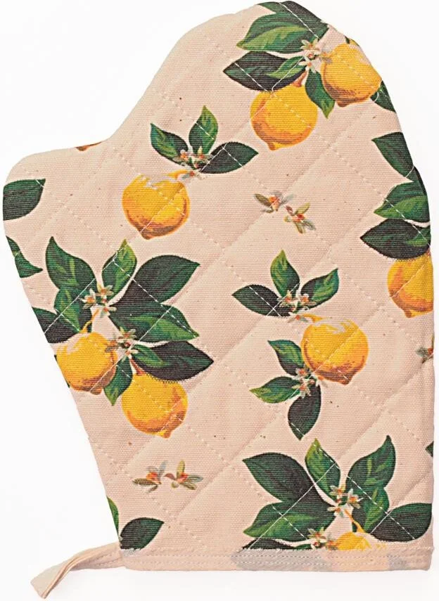 ماجيك ليدي Molinella Fireproof Quilted Duck Fabric Colored Oven Mitts 20x27 cm Pack of 10