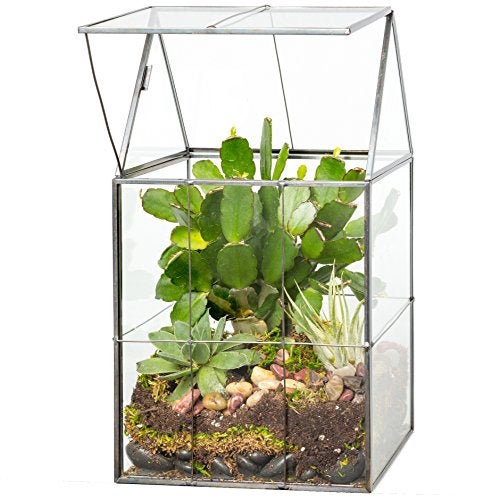 DECO D'Eco Glass Geometric Plant Terrarium (6x5x11) - Fall Centerpiece for Succulents, Air Plants & Moss - Home & Office Decor - Hinged Roof, Black Accents, Spooky Halloween Display - Gift for Gardeners - Image 1