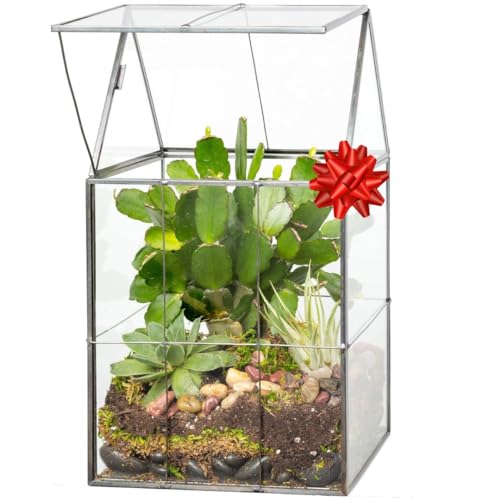 DECO D'Eco Glass Geometric Plant Terrarium (6x5x11) - Fall Centerpiece for Succulents, Air Plants & Moss - Home & Office Decor - Hinged Roof, Black Accents, Spooky Halloween Display - Gift for Gardeners - Image 5
