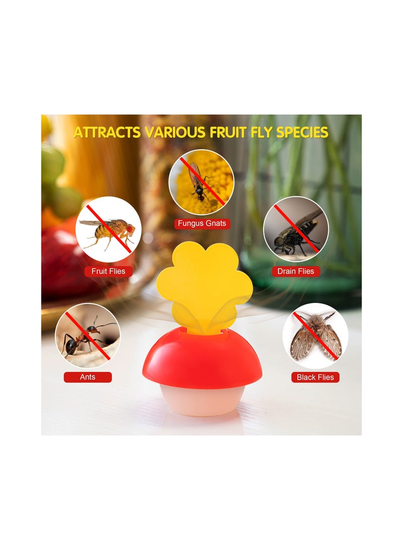 SYOSI 3 عبوات فخاخ ذباب الفاكهة للاستخدام الداخلي مع 9 قطع لزجة و 3 طعم قاتل الذباب الفطري في المطابخ والنباتات - Image 4