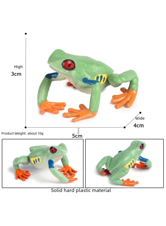 Children's Cognitive Simulation Solid Animal Model Frog Bullfrog Tree Frog Bullfrog Horn Frog Frog Frog Toad Toy Ornaments-Color:Frog Growth Cycle (5 Sets)) - Image 4