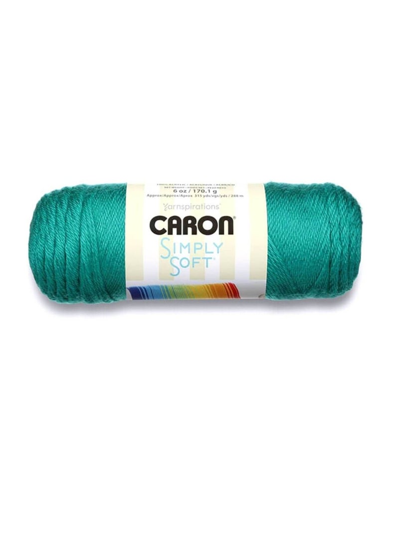 Caron Simply Soft Solids Yarn Cool Green - Image 1