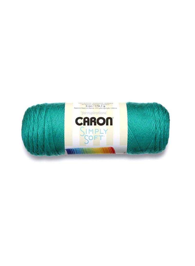 Caron Simply Soft Solids Yarn Cool Green - Image 3