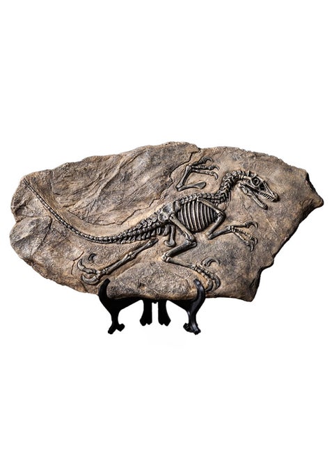Handcrafted Dinosaur Skeleton Model - Resin Fossils Sculpture with Realistic Details, High Durability, Low Maintainance and a Perfect Home or Office Decoration