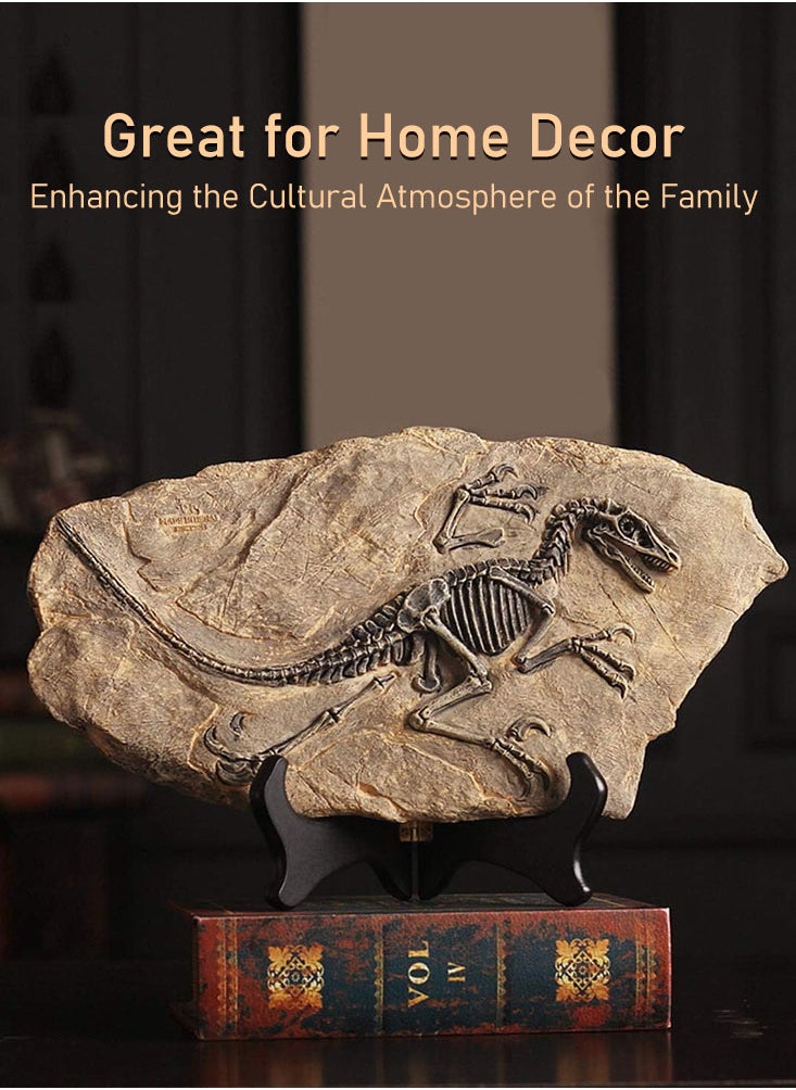 Perfii - Handcrafted Dinosaur Skeleton Model - Resin Fossils Sculpture with Realistic Details, High Durability, Low Maintainance and a Perfect Home or Office Decoration - Image 1