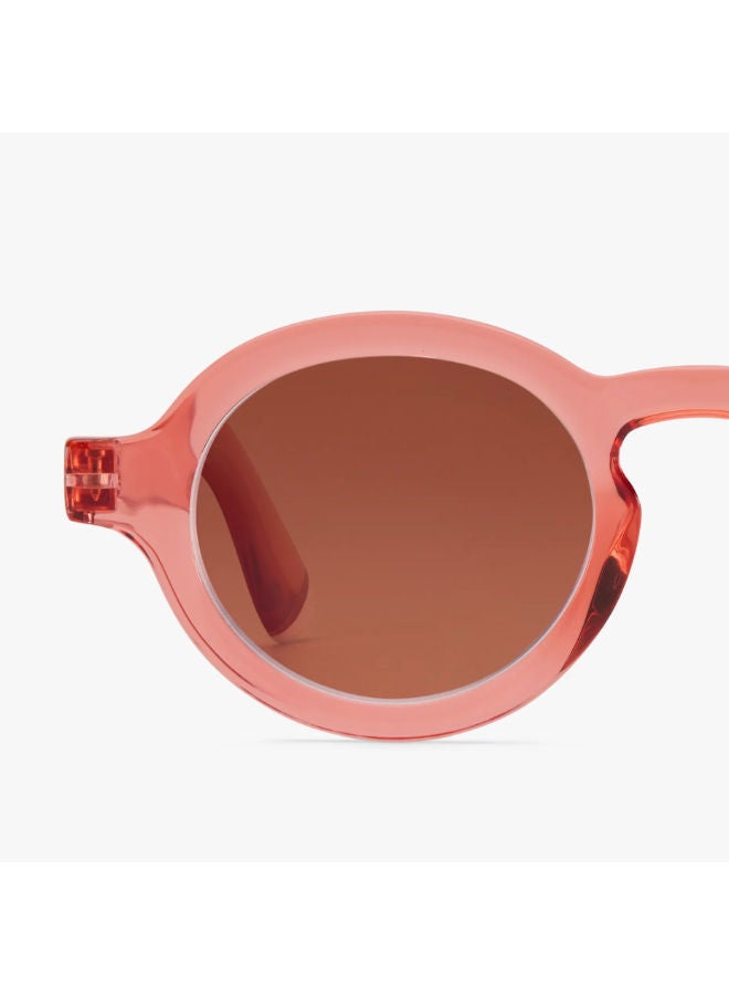 BARNER Full Rim Phantos Sunglasses ChaGS-S - Image 4
