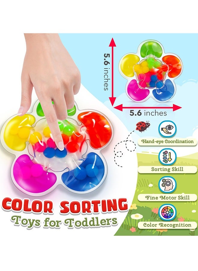Color Sorting Toys Sensory Toys, Fine Motor Skills Game for Toddlers, Color Matching Toys Preschool Learning Activities Educational Calm Down Montessori Toys for Kids Boys Girls Ages 1 2 3 As Gifts - Image 2