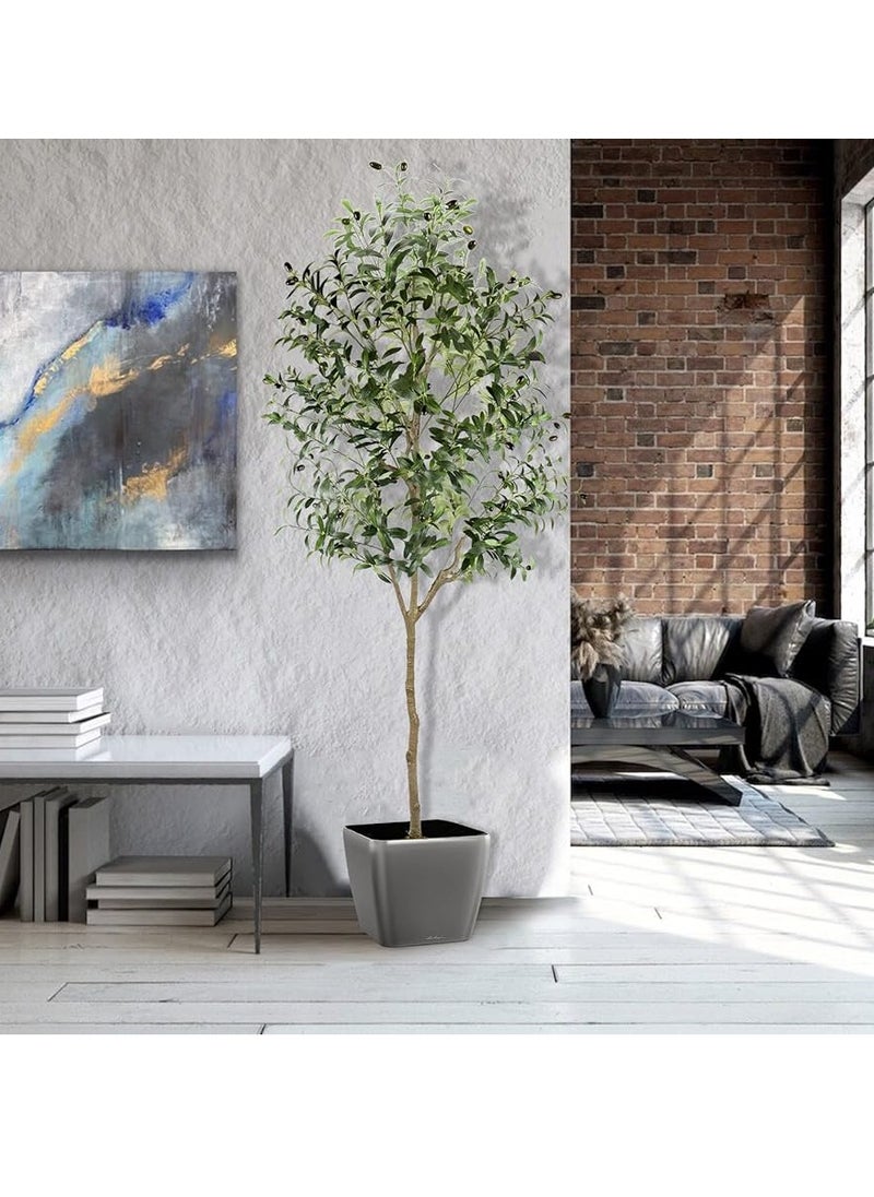 Generic Faux Olive Tree, 6FT (71in 180CM) Olive Tree Artificial Indoor, Tall Fake Tree, Large Fake Plant for Home Decor Indoor Living Room Housewarming Party Gift  - Image 3