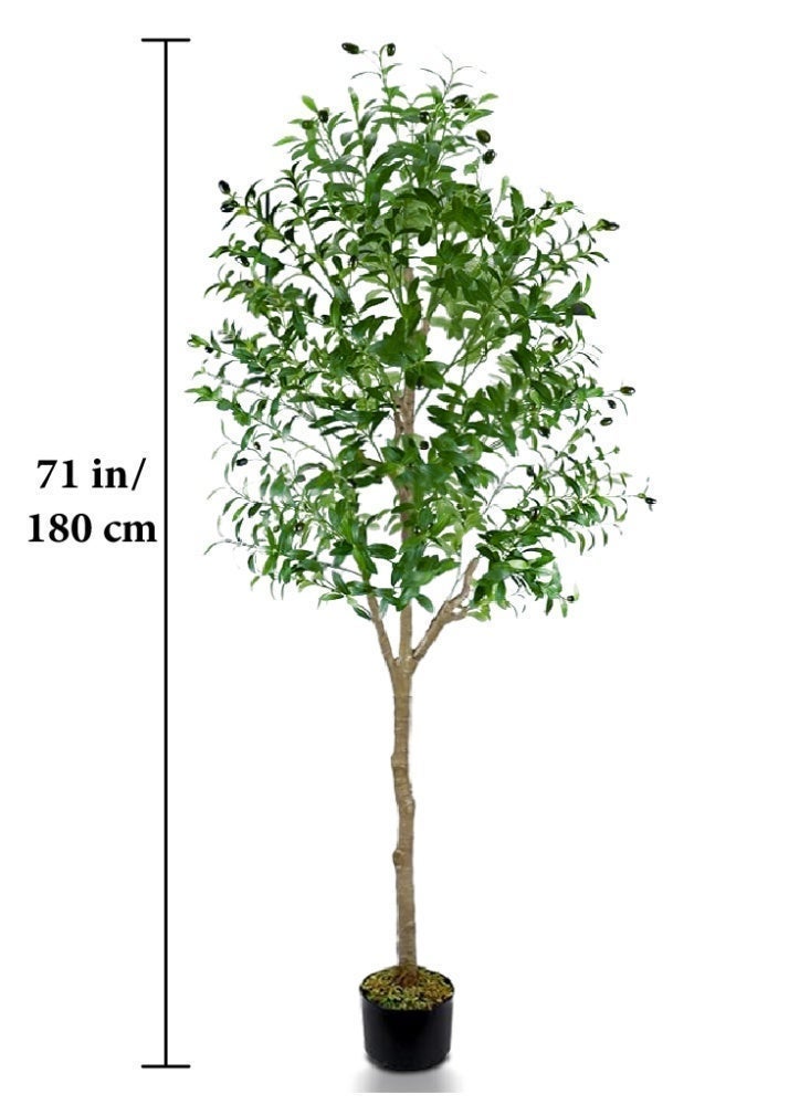 MUXUE Faux Olive Tree, 6FT (71in 180CM) Olive Tree Artificial Indoor, Tall Fake Tree, Large Fake Plant for Home Decor Indoor Living Room Housewarming Party Gift - Image 2