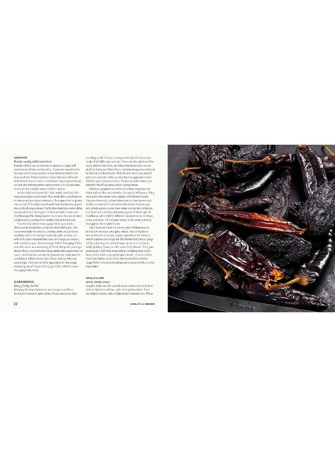 Chiles and Smoke: BBQ, Grilling, and Other Fire-Friendly Recipes with Spice and Flavor - Image 4