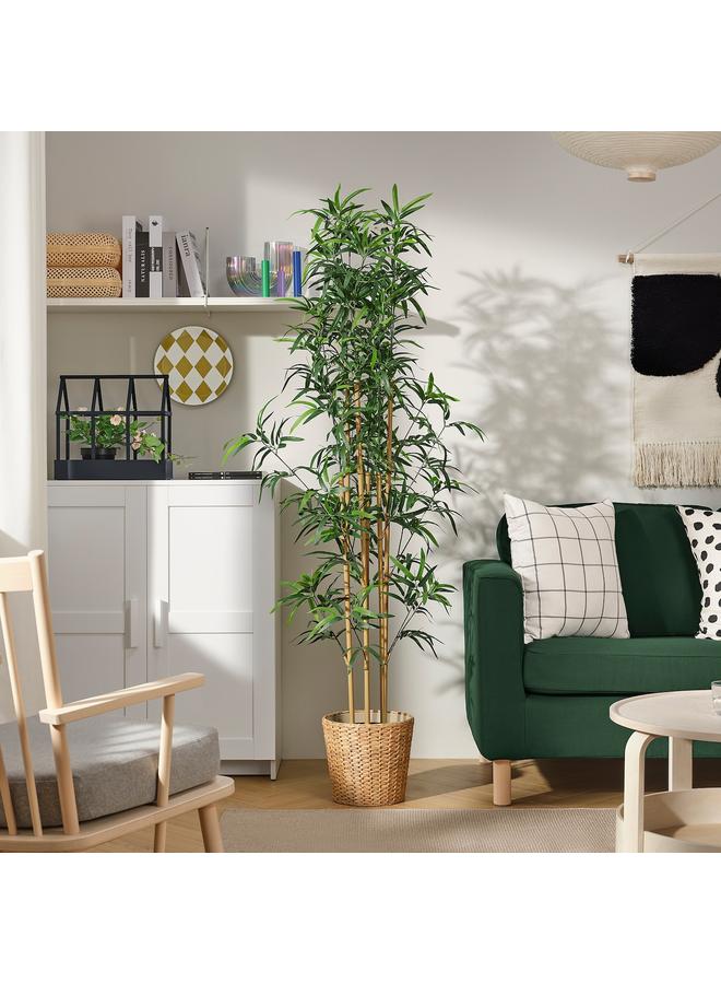 erorex Artificial potted plant, in/outdoor bamboo, 23 cm - Image 3