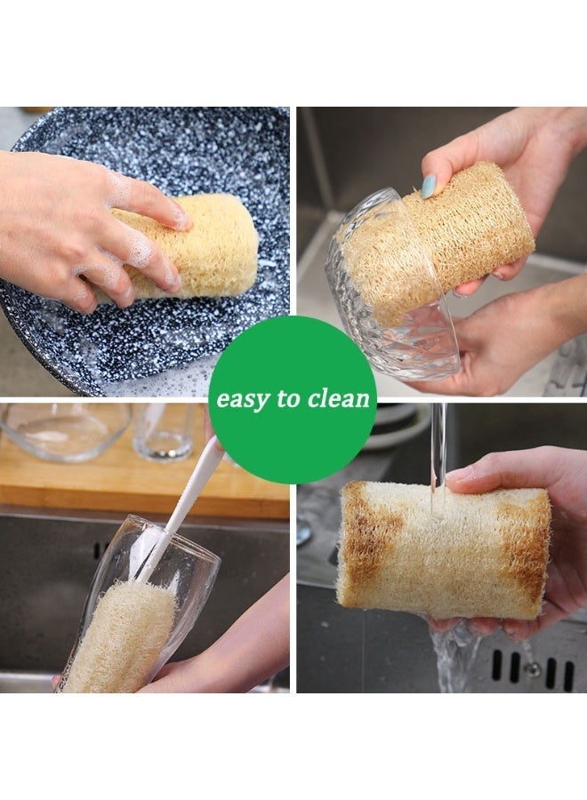 مجموعة تنظيف الأطباق الطبيعية 3 قطع - فرشاة تنظيف الأكواب والترمس - إسفنجة تنظيف المطبخ متعددة الأغراض للأطباق والزجاجات والأواني الزجاجية - Image 3